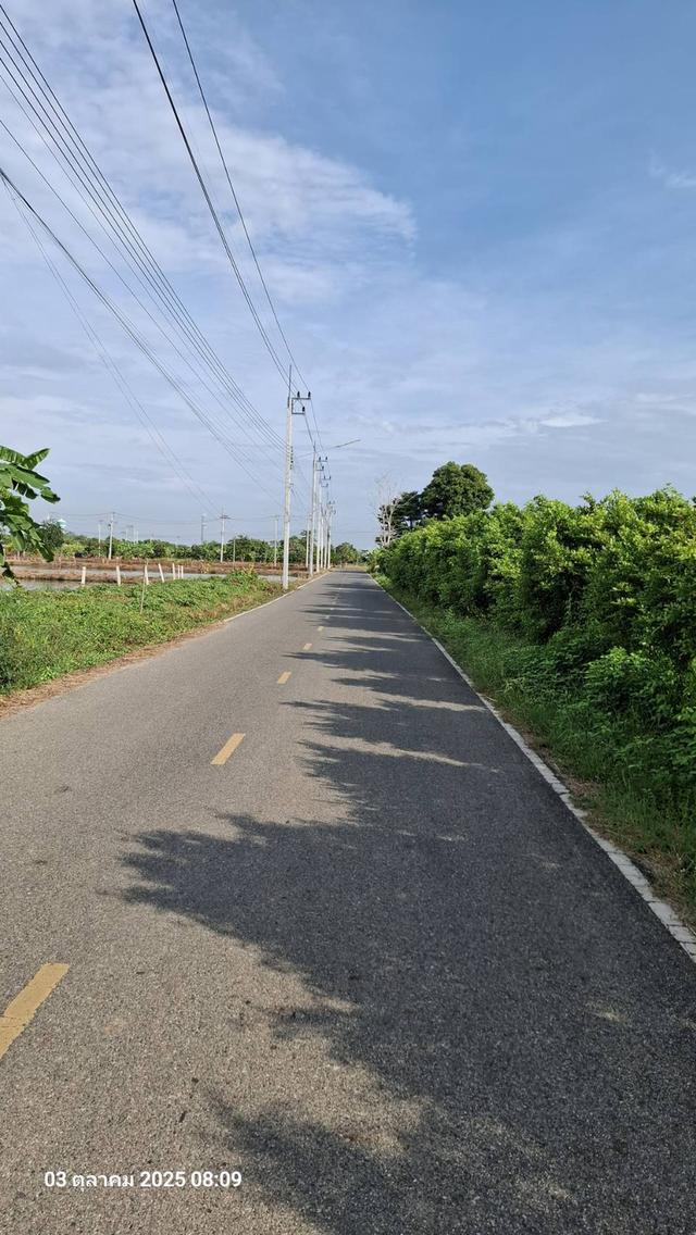  ขายที่ถมแล้วบางส่วน  2 ไร่ ติดถนนสองด้าน  ต.บ้านโพธิ์ อ.บ้านโพธิ์ จ.ฉะเชิงเทรา 1