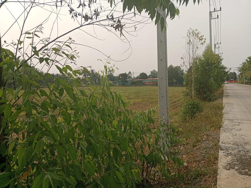 ขายที่ดินหัวหว้า ศรีมหาโพธิ 1 ไร่ ติดถนนทล.ชนบทใกล้ถนนสี่เลน3070-100เมตร จ.ปราจีนบุรี 6