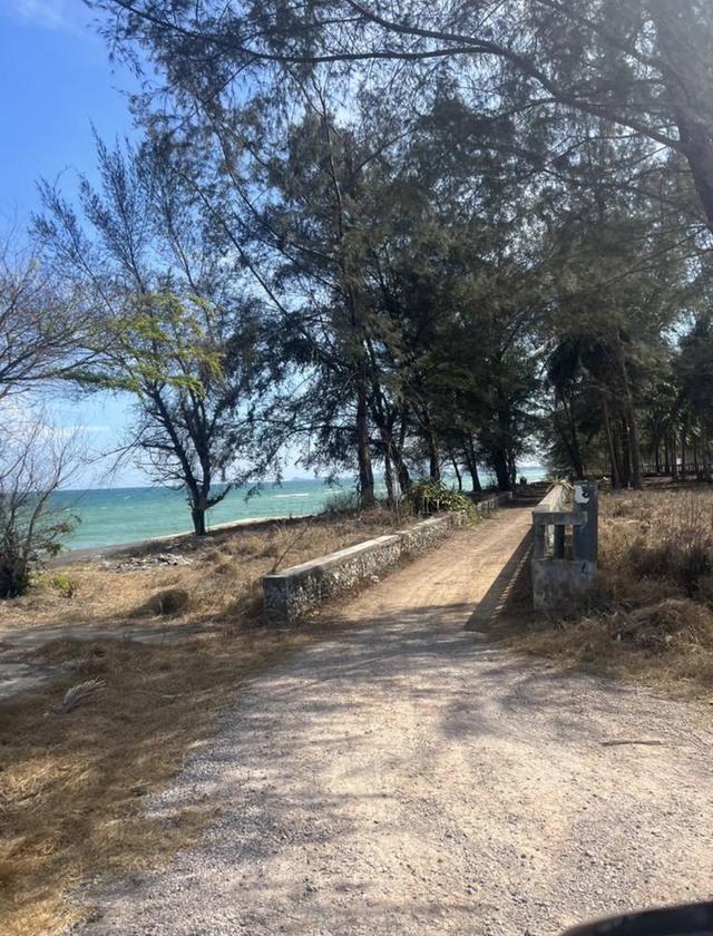 ต้องการขายที่ดินติดทะเล 8