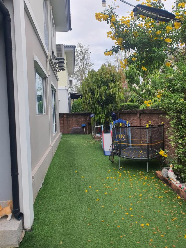 บ้านเดี่ยว 2 ชั้น 50.1 ตรว 4