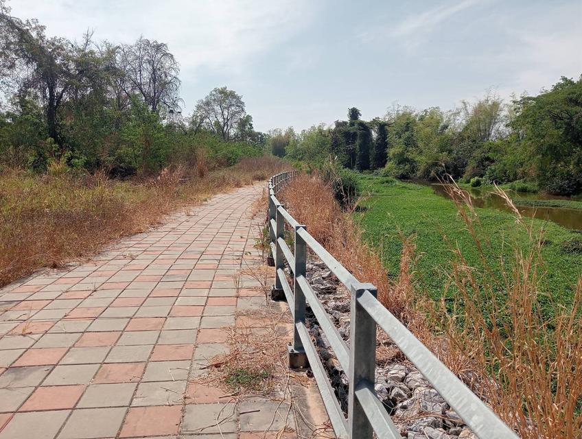 บ้านและที่ดินแปลงใหญ่ 4 ไร่เศษ ในเขตเทศบาลเมืองกาฬสินธุ์ 4