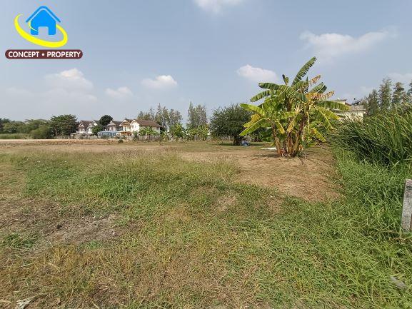 ขายที่ดินซอยร่มเกล้า 17/2  ขนาด 396 ตารางวา ปากซอยมีธนาคารอาคารสงเคราะห์ สาขาลาดกระบัง คลองสามประเวศ ลาดกระบัง 1