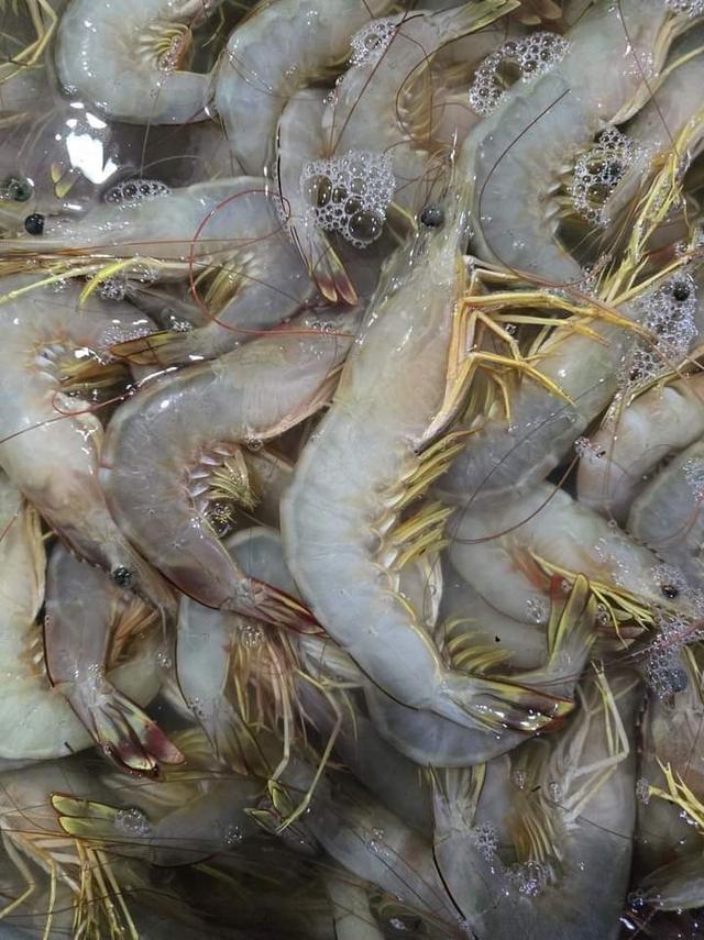 กุ้งแช่บ๊วย รสชาติอ่อนหวาน  2