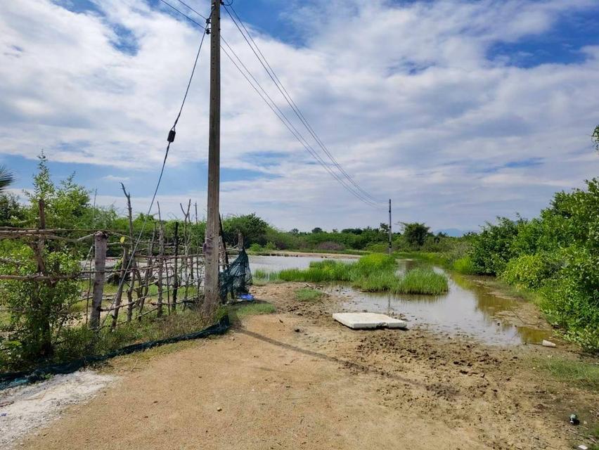 ที่ดินเปล่า 12 ไร่ อ.ชะอำ 5