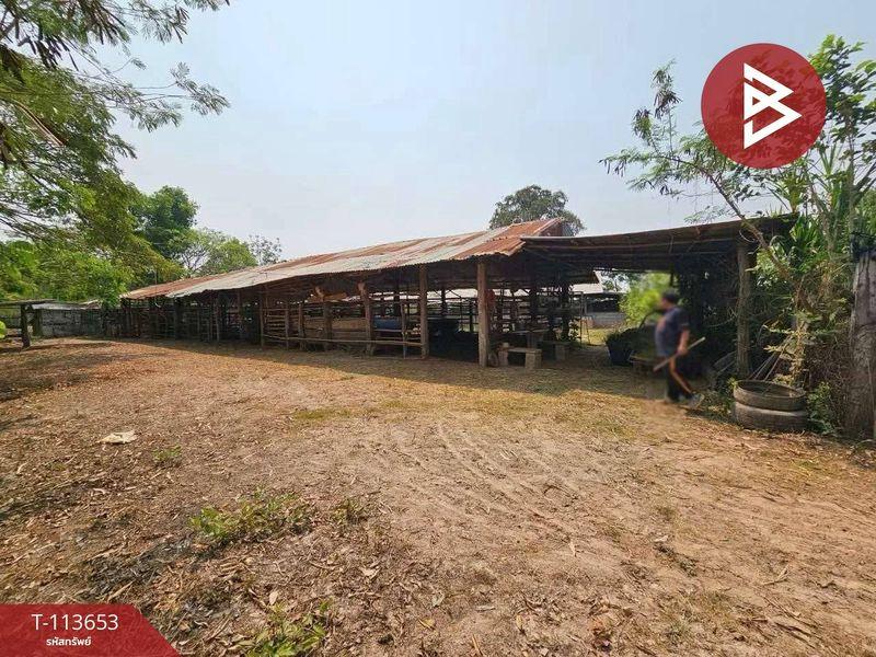 ขายที่ดินพร้อมสิ่งปลูกสร้าง ติดถนนใหญ่ เนื้อที่ 12 ไร่ 2 งาน 79.0 ตารางวา ถนนทางหลวงชนบท ตำบลหมากแข้ง เมืองอุดรธานี 4