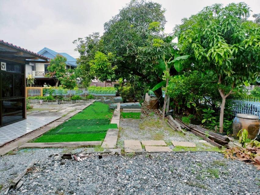 🏡ขาย บ้านเดี่ยวหลังมุม ติดถนน ทิพมาศ-เสรีบางนา บางบ่อ  114 ตร.ว 4