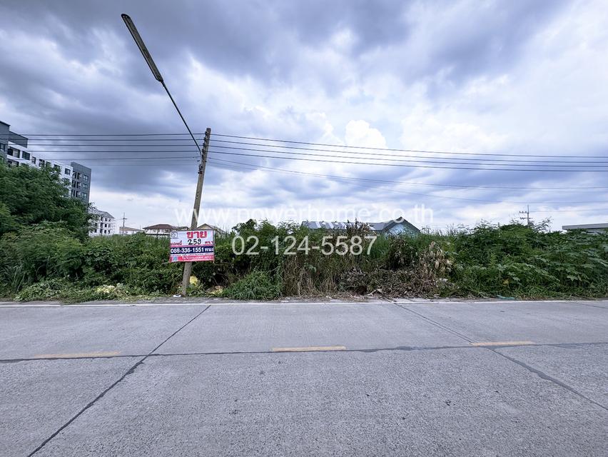 ที่ดินเปล่า ลำลูกกา 19 แยก 1 ถนนลำลูกกา ต.คูคต อ.ลำลูกกา จ.ปทุมธานี 9