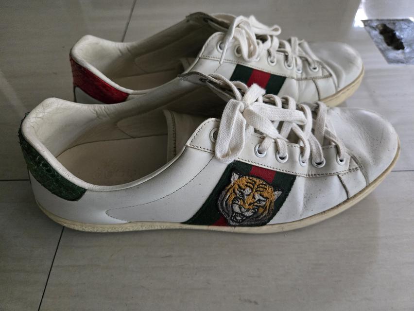 รองเท้า Gucci เสือ. 28 cm