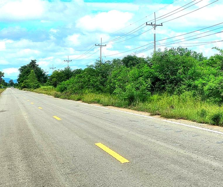 ขายที่ดินโฉนด61ไร่ ติดถนนลาดยางชนบท กจ4035 ต.หนองประดู่ อ.เลาขวัญ จ.กาญจนบุรี 8