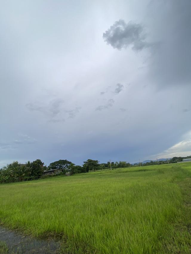 ขายที่ดินอำเภอเมืองลำปาง ที่ทุ่งนา 2 ไร่ 97 ตรว. มีถนนตัดผ่านน้ำไฟเข้าถึง