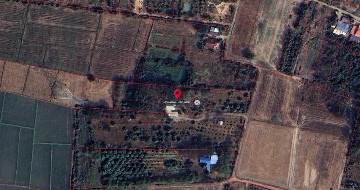 ขายที่สวน11 ไร่ พร้อมบ้าน2 หลัง มีรั้วล้อมรอบ ประตูรีโมท และรั้วล้อมสวน4ด้าน พร้อมต้นประดู่ ต้นกล้วย มะม่วง กระท้อน มะนาว มะกรูด 16