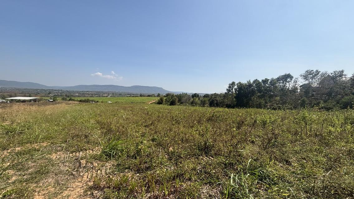 ที่ดิน เปล่า อยู่ติดถนน 304 เพียง 5 นาที วิวสวย บนภูเขา วังน้ำเขียว 6