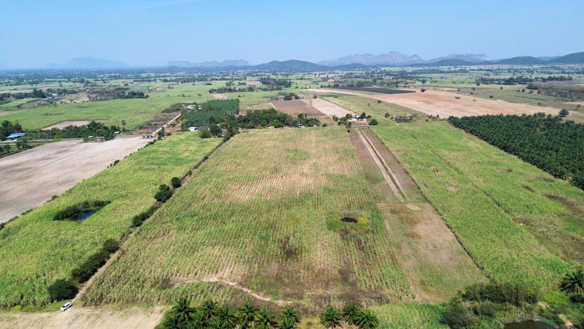 ที่ดินโฉนดครุฑแดง 44-0-79 ไร่ อ.บ้านไร่ จ.อุทัยธานี ติดถนนลาดยาง ที่ดินสูงเท่าถนนไม่ต้องถม ซอย7 ห่างถนนหลัก333 (ถนน4เลน) เพียง 2 ก.ม. ปากทาง มี 7-11 , 7