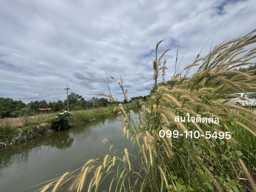 ที่ดินติดคลองส่งน้ำ ทำเลดี วิวสวย เหมาะสร้างบ้านสวน เนื้อที่ 4 ไร่ 49.6 ตรว. ต.บ้านนา อ.แกลง จ.ระยอง 3