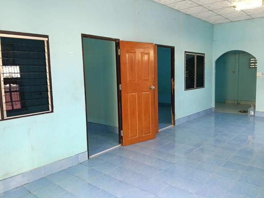 ขายด่วนบ้าน2หลังที่ดิน2ไร่เขตชุมชนติดถนนลาดยางน้ำไม่ท่วมไม่มีประวัติอยู่ไกล้ม. ราชมงคลสุวรรณภูมิสามชุกจ. สุพรรณขาย2. 55ล. สนใจ0894109810เจ้าของโดยตรง 12