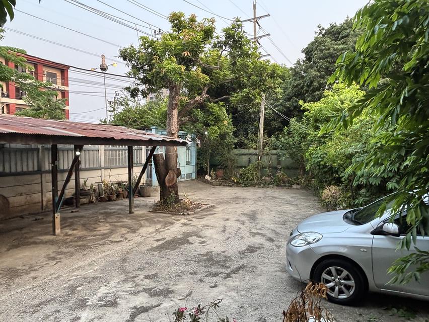 บ้านและที่ดิน360ตรว พระนั่งเกล้า นนทบุรี 4