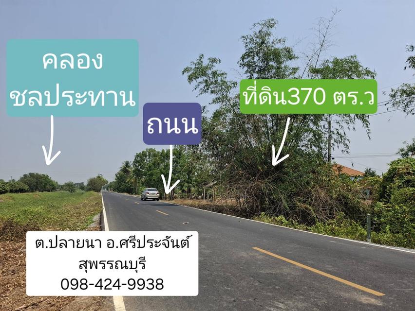 ขายที่ดิน 3 งาน 70 ตารางวา ติดถนน ตำบลปลายนา อ.ศรีประจันต์ จ.สุพรรณบุรี 1