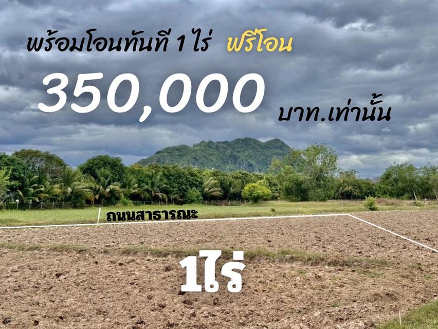ที่ดิน 11