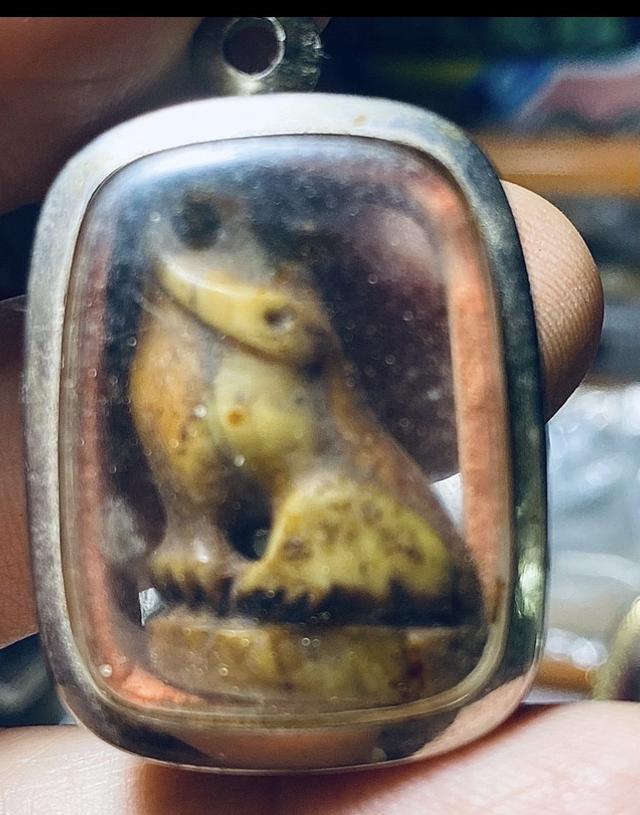 เสือหลวงปู่บุญ วัดกลางบางแก้ว