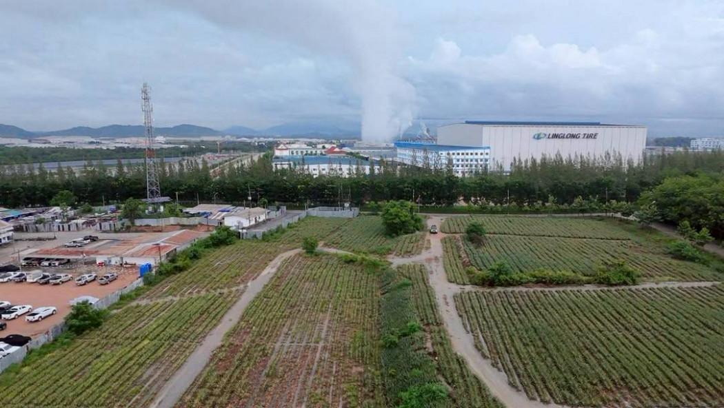 ขาย ที่ดิน 30 ไร่ เขาคันทรง ใกล้นิคมเหมราช ระยอง อ.ปลวกแดง ต.ตาสิทธิ์ 1