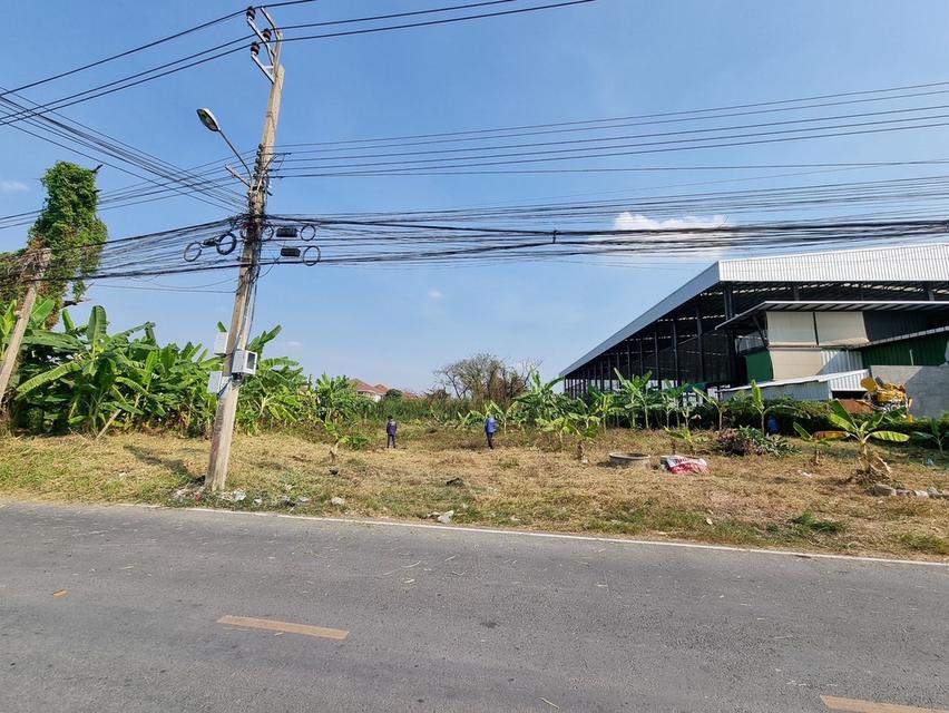 ที่ดินบางบัวทอง ซอยโรงหมี่  2