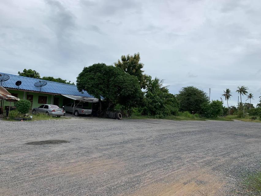 ขายที่ดินหนองมะนาว ซอยทุ่งกราด 4 ไร่ ถมแล้วติดถนนคอนกรีต ใกล้ถ.สุขุมวิท(3)-2 กม. ใกล้ท่าเรือแหลมฉบัง-8 กม. ชลบุรี 3
