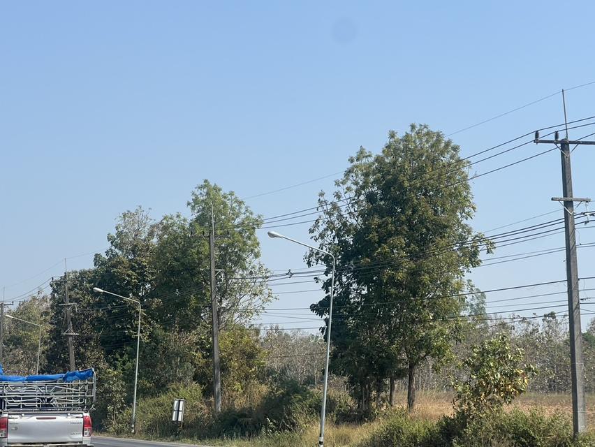 ขายที่ติดถนนใหญ่ 99 ไร่ 3