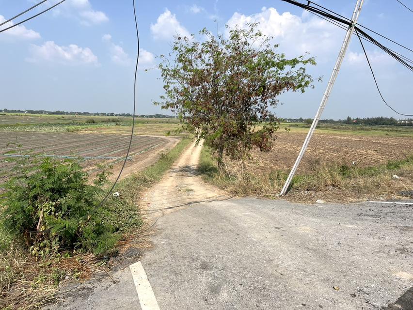 ขายที่ดินติดถนนสายอยุธยา อ่างทอง 083 610 6693 6