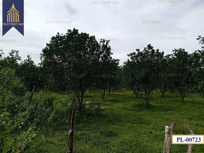 ที่ดิน อำเภอ เถิน จังหวัด ลำปาง 35 ไร่ติดถนนสายเอเชียและแม่น้ำวังพัฒนา 3