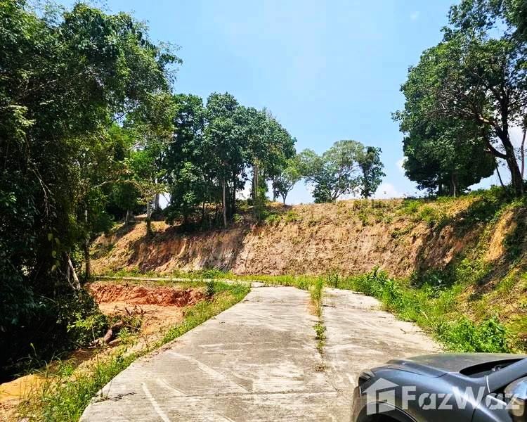 ขายที่ดินทำเลทอง 21.5 ไร่ ในภูเก็ต กะทู้ ป่าตอง Prime Land for Sale 21.5 Rai in Phuket Kathu District,Patong ตัดใจขายออกไปลดASSETส่วนตัวแต่เพื่อท่านๆ 3