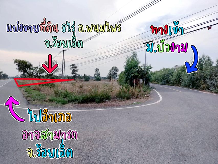 ที่ดินแบ่งขาย 8 ไร่ ราคาไร่ละ 800,000 พร้อมโฉนดครุฑแดง น้ำไฟผ่าน ติดถนนใหญ่ จ.ร้อยเอ็ด เจ้าของขายเอง ราคาต่อรองราคาได้ สนใจติดต่อ 084-4327718 12