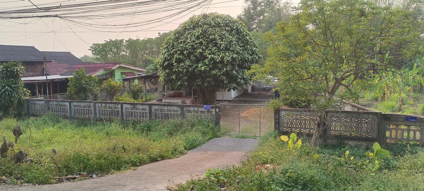 บ้านพร้อมที่ดิน หลุดสัญญาขายฝาก 2