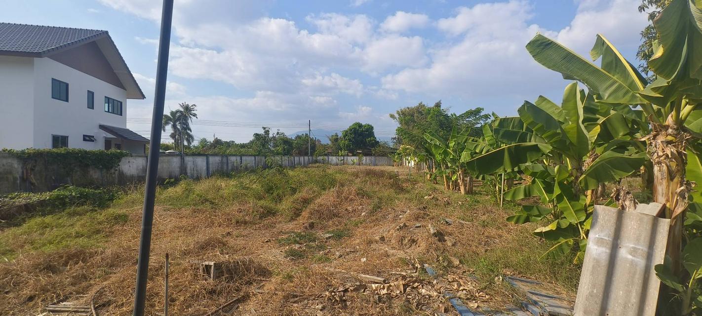 ที่ดิน 3 ไร่ พร้อมหอพัก 10 ห้อง ทำโครงการได้ ติดเส้นหลักบ้านกลาง 1