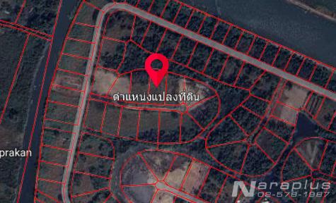 Listing No. 68010040 : ขายที่ดินจัดสรรขนาด 329.ตร.ว. ในโครงการ รอยัล เพลส (Royal Place) บนถนนบางนา-ตราด กม.26 บางบ่อ สมุทรปราการ 3