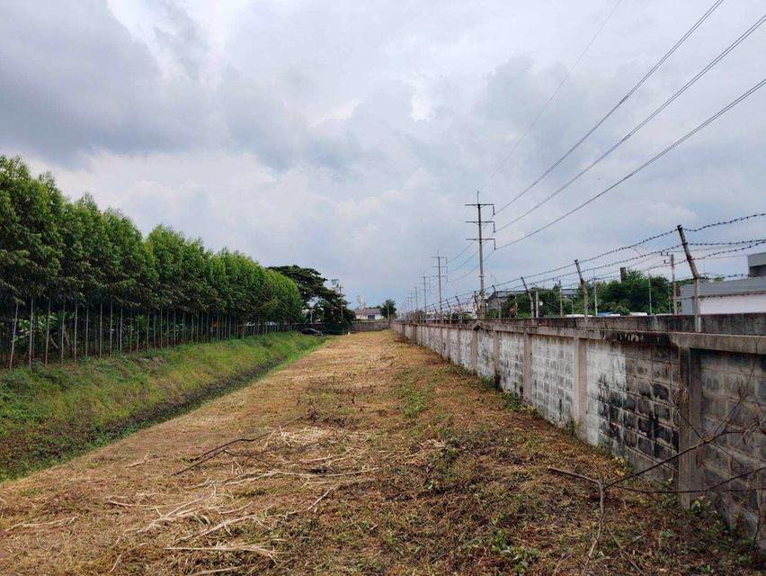 ขายที่ดินผังสีม่วง ถนนพหลโยธิน นวนคร พื้นที่ 110-3-35 ไร่ ต.คลองหนึ่ง อ.คลองหลวง จ.ปทุมธานี 10