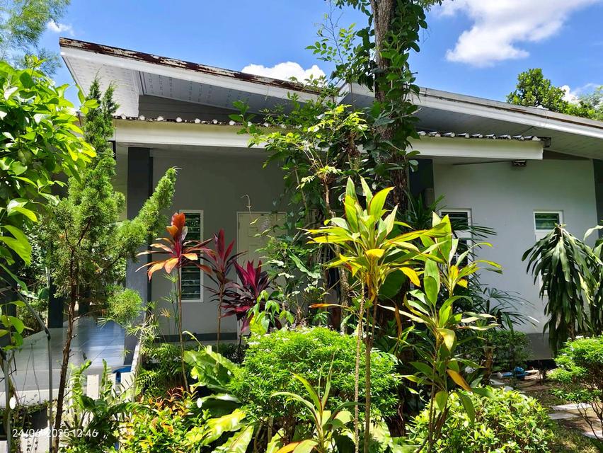 บ้านสวนในฝัน…กลางเมืองสระแก้ว 12