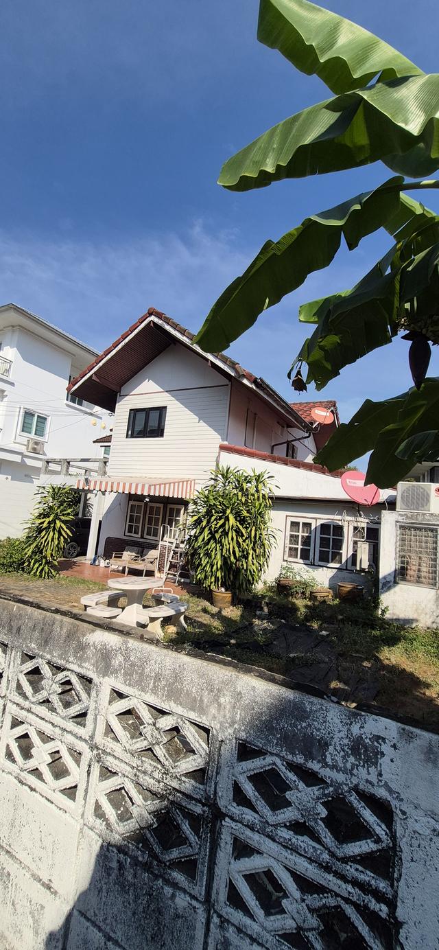 ขายบ้านเดี่ยว 2 ชั้น พื้นที่ 96 ตารางวา เขตพื้นที่เจริญ ใกล้ห้างสรรพสินค้าโรงเรียน โรงพยาบาล เดินทางเข้าออกสะดวกบ้านอยู่หลังสุดท้ายสุดซอย พื้นที่รอบบ้ 10