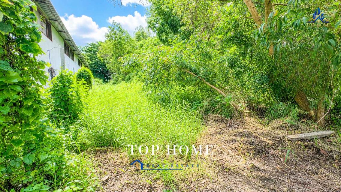 🔥 **ขายด่วน! ที่ดิน 1 ไร่ วังน้อย อยุธยา** 🔥 📍 ใกล้ อบต.สนับทึบ | แปลงสวย ถมแล้ว พร้อมใช้งาน 1