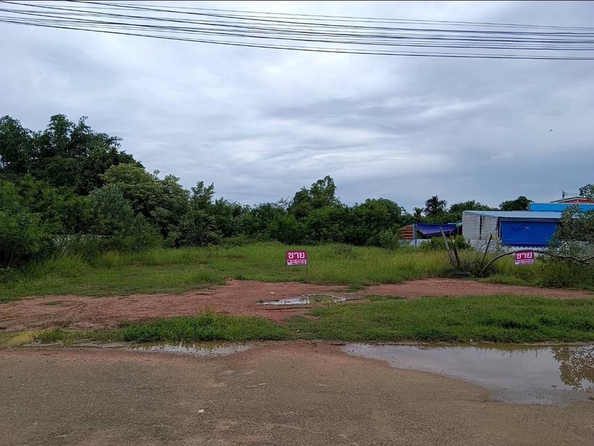 ที่ดินเปล่าทำเลดี ติดถนนราชบุรี-ผาปก เหมาะกับการลงทุนและตั้งร้านค้า 4
