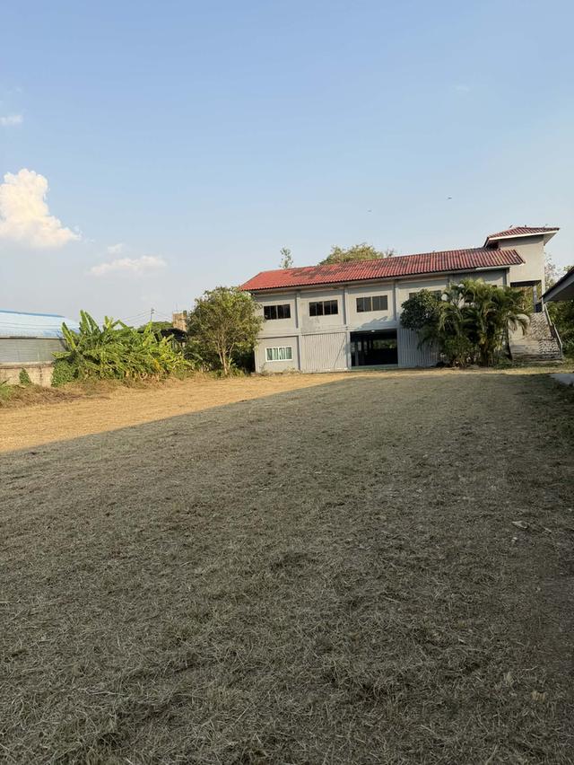 ขายที่ดินพร้อมสิ่งปลูกสร้าง 1