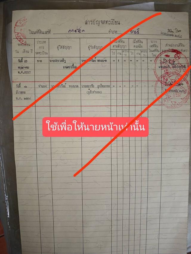 ขายที่ดิน 100 ตรว. เชียงใหม่ 7