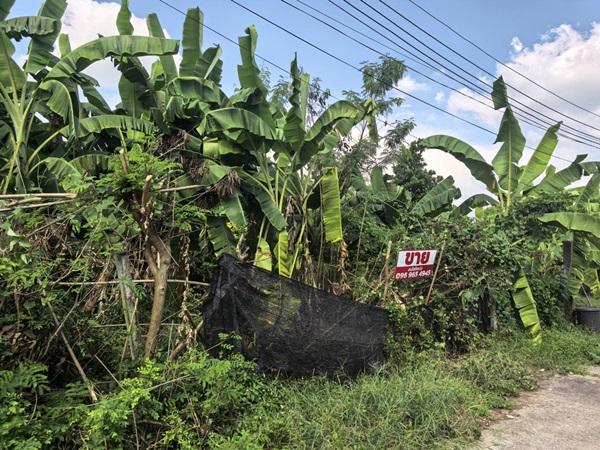 ขายที่ดินเปล่า 70ตรว. คลอง11 หมู่บ้านนริศรา ซ.4 ถูกกว่าราคาประเมิน เจ้าของขายเอง โทร 0969654945 1