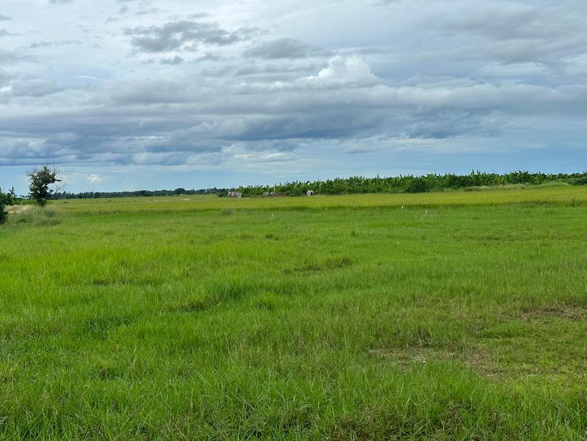 ที่ดิน ท่ายาง จ.เพชรบุรี 20
