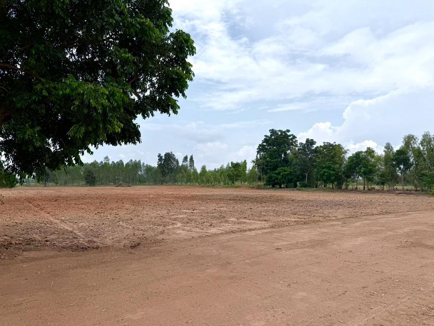 ที่ดินราคาน่าจับต้อง หนองหญ้าไซ สุพรรณบุรี เริ่มเพียง 200,000 บาท 6