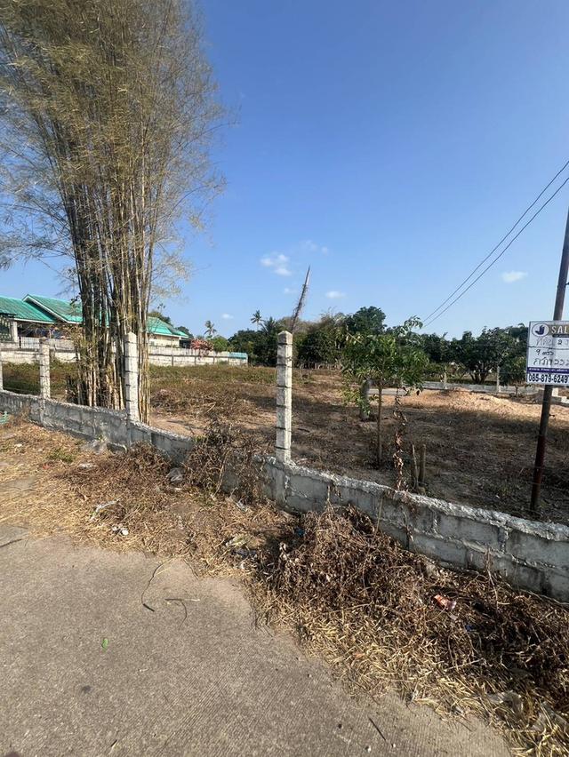 ที่ดินทำเลหลังตลาดจีนโบราณชากแง้ว ต.ห้วยใหญ่ อ.บางละมุง จ.ชลบุรี 6