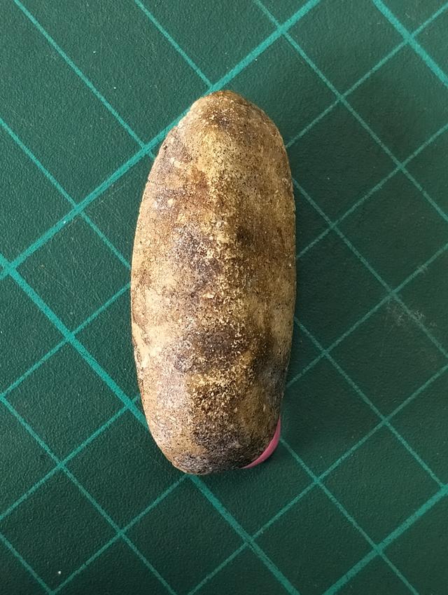 พระกรุวัดพลับ พิมพ์ยืนวันทาเสมาถือดอกบัว รูปที่ 2