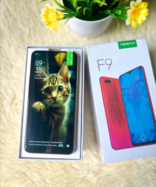 OPPO F9 8+256GB 2