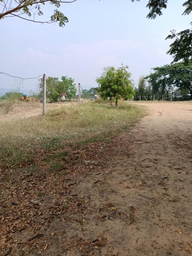 ที่ดินสันกำแพงเชียงใหม่ 1