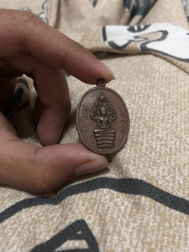 	เหรียญนาคปรก 8 รอบ หลวงปู่ทิม พิมพ์ อุใหญ่