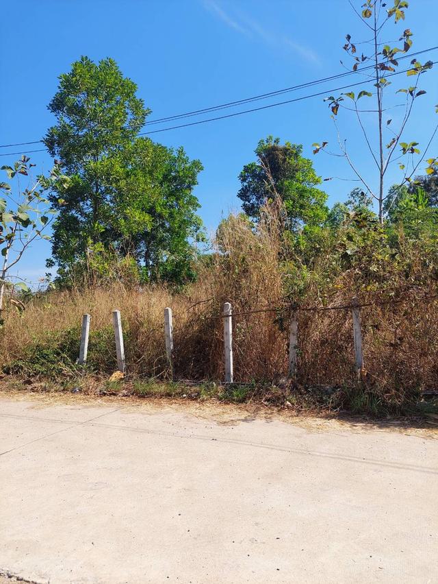 ที่ดินอ.เมืองหวัดสระแก้ว 7
